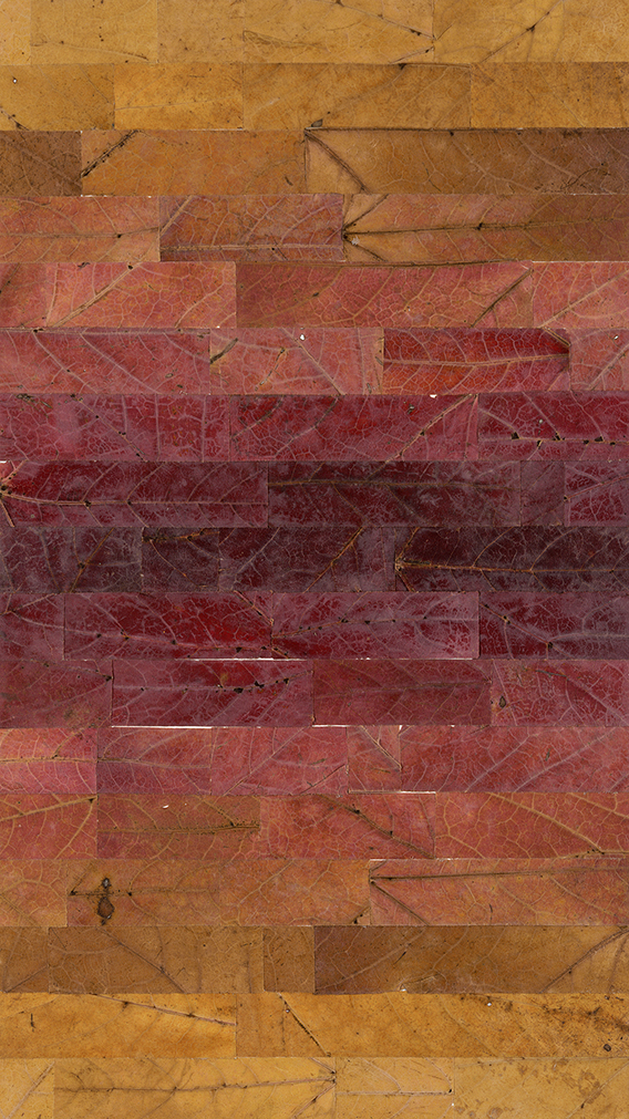 Seventeen Leaves, No. 1